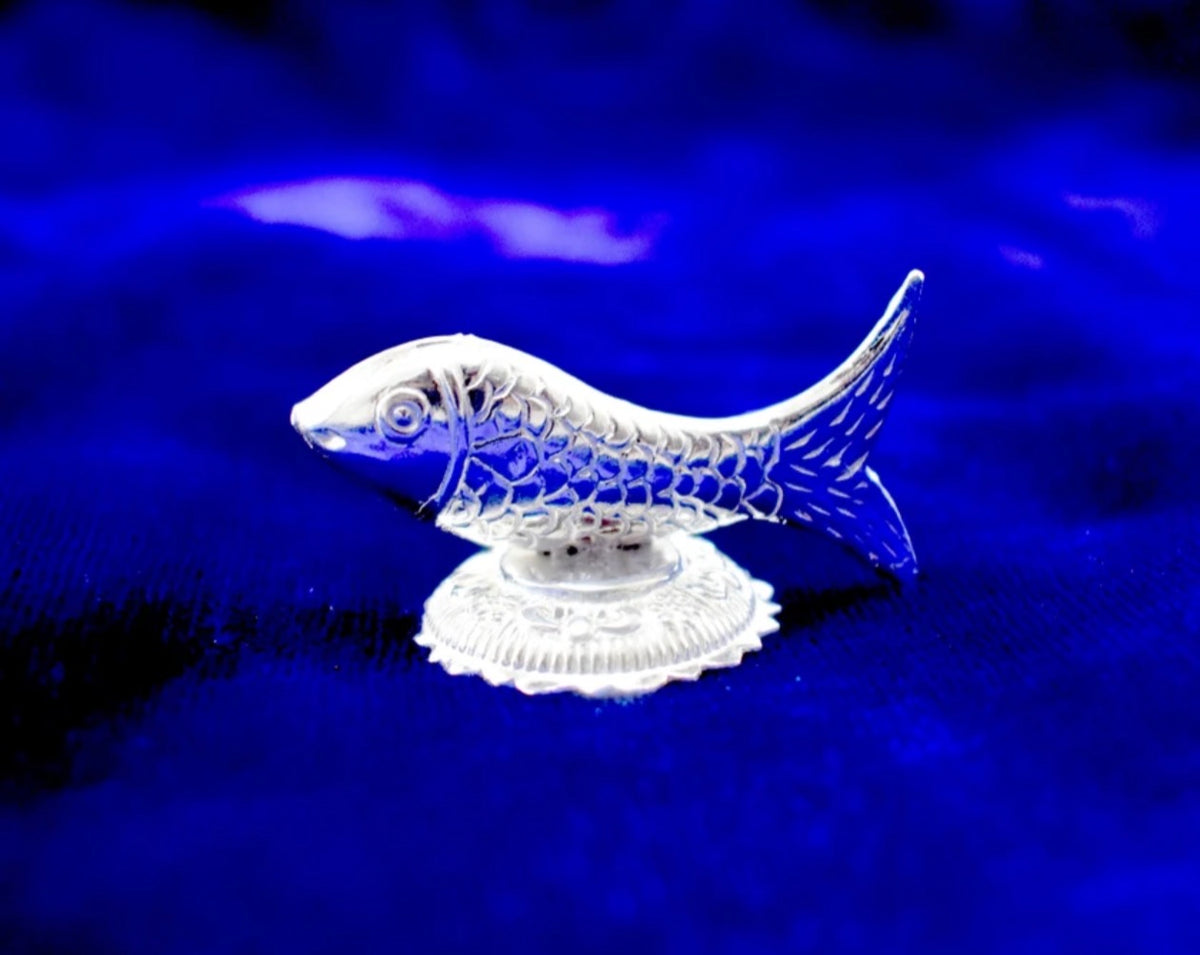 Silver fish / machli