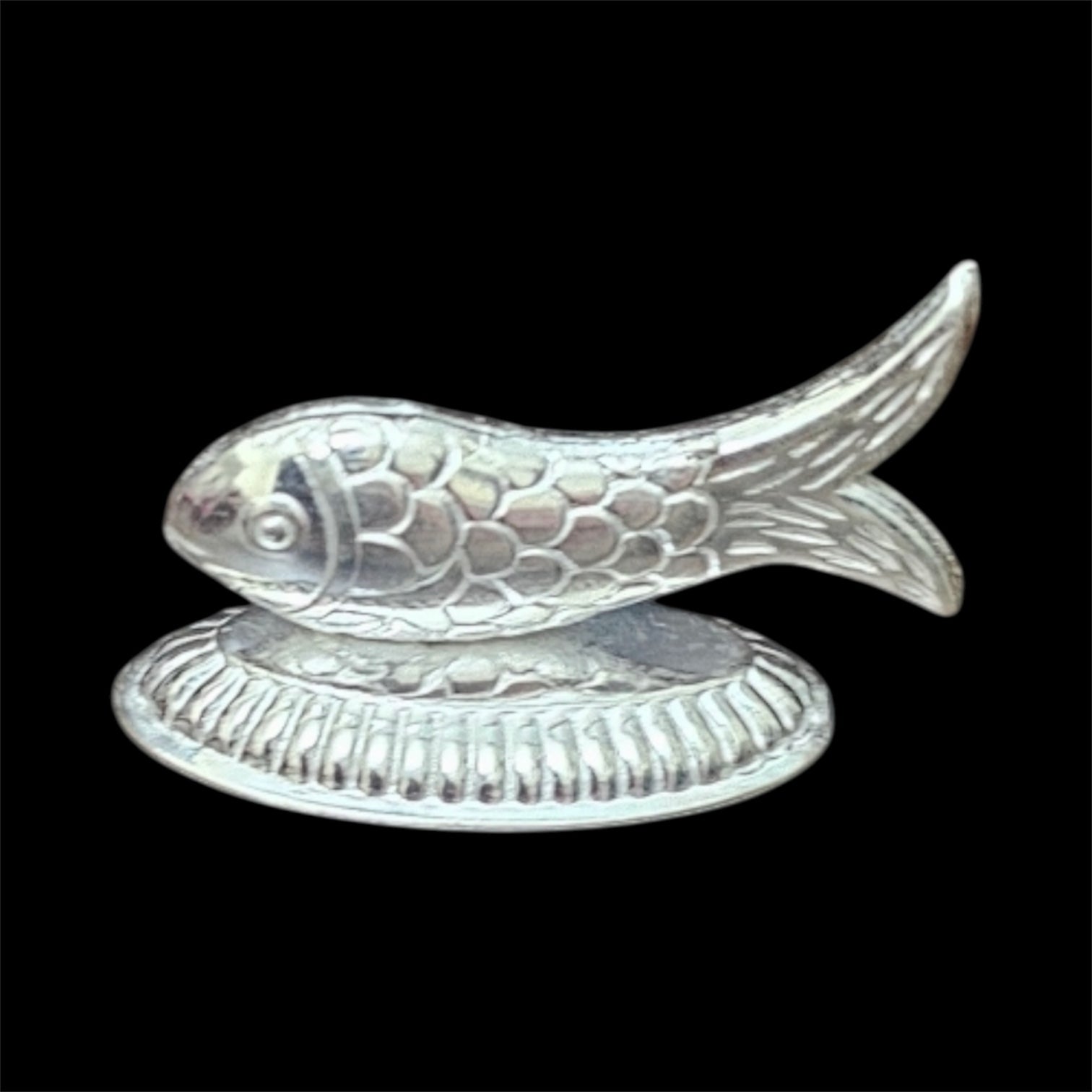 Silver fish / machli