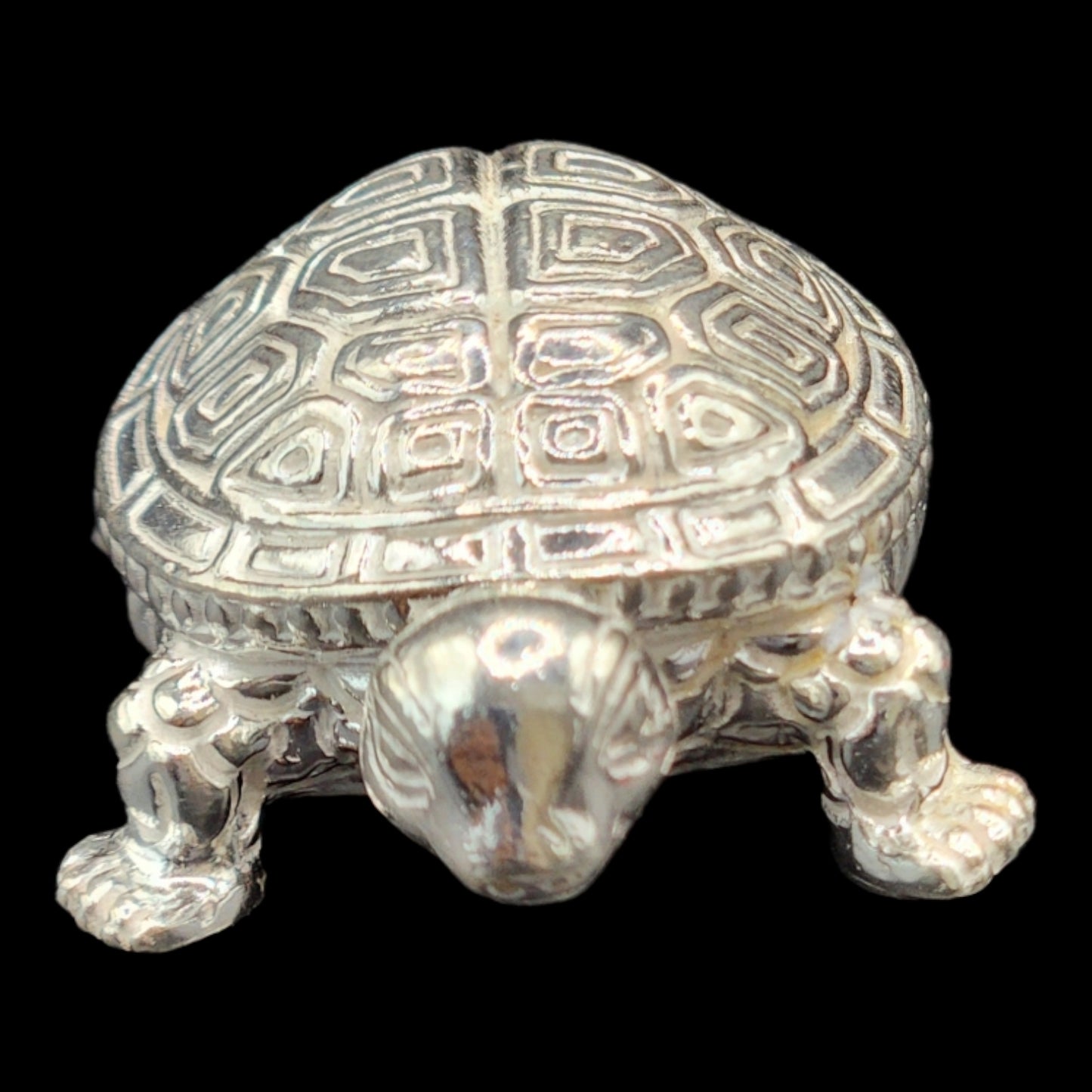 Silver Tortoise/Kachua