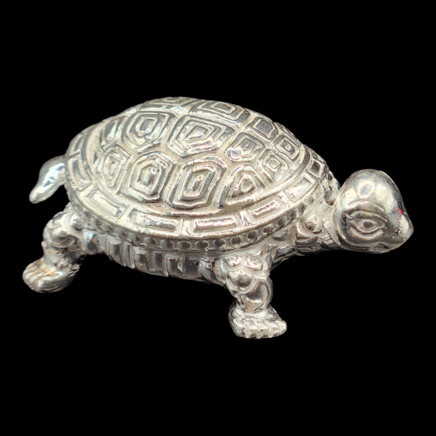 Silver Tortoise/Kachua