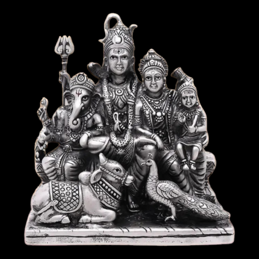 925 silver shivparivar 3D idol