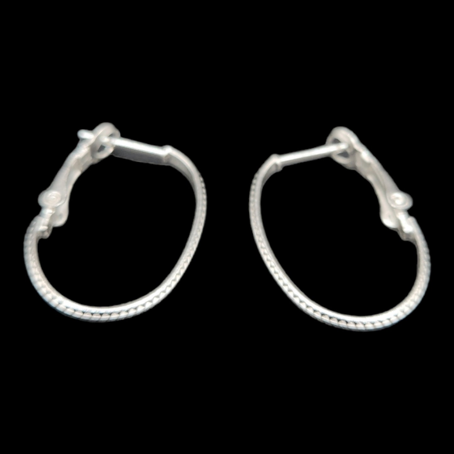 Sterling Silver Oval Hoop Earrings